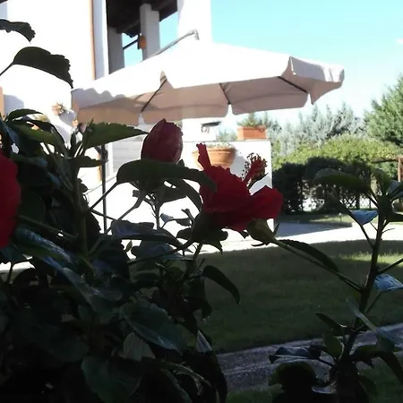Couette-café Epona Spello